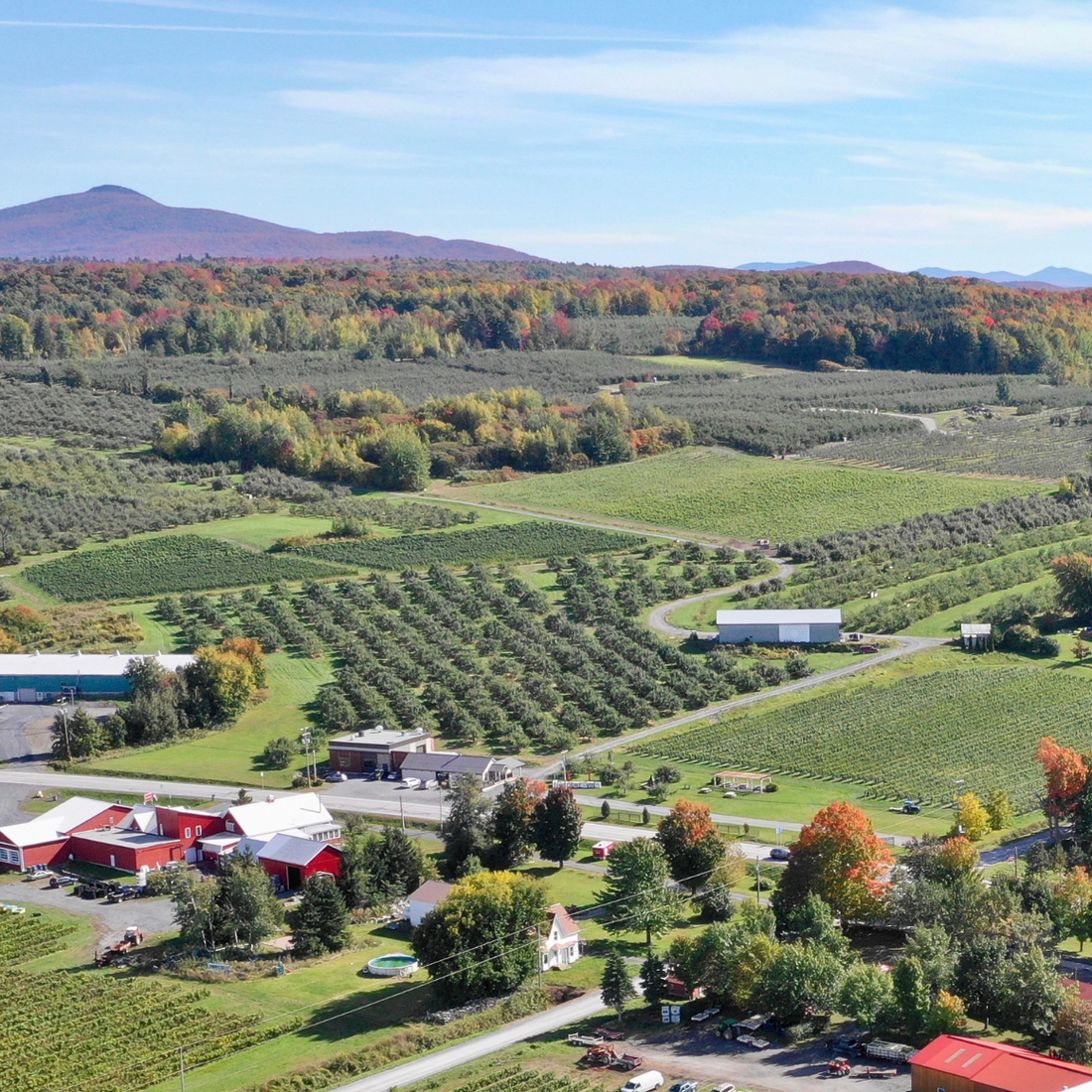 Horaire d’automne à Union Libre cidre & vin 🍂🍎