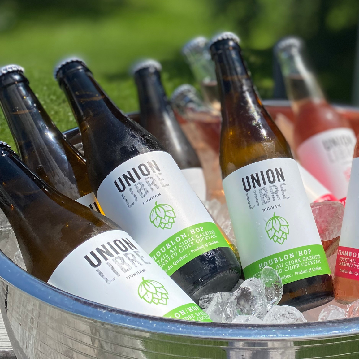 Cocktail au cidre gazéifié - Houblon