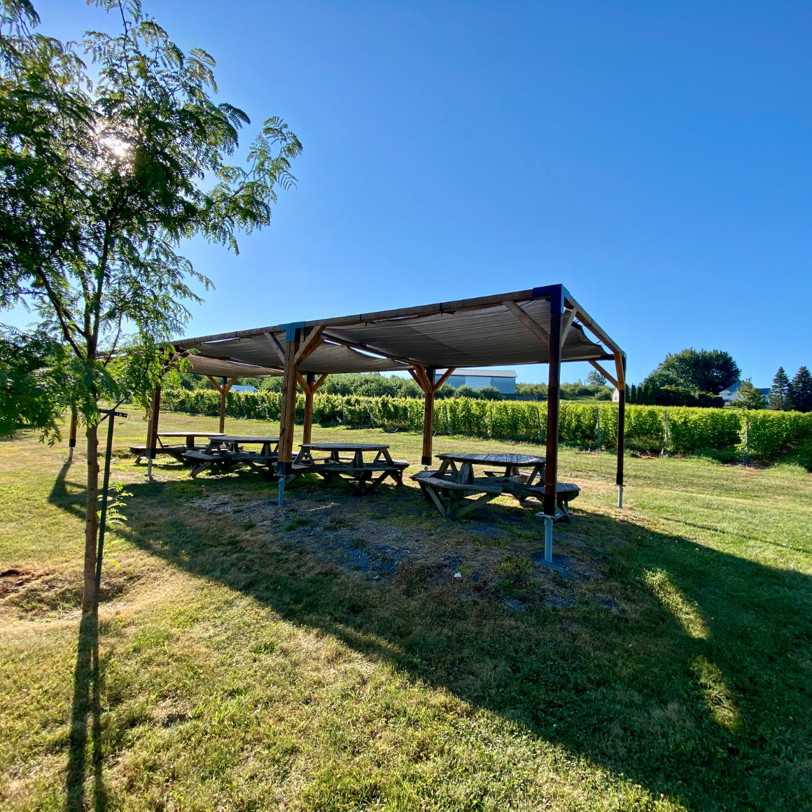 Pergola et tables à pique-nique au domaine Union Libre