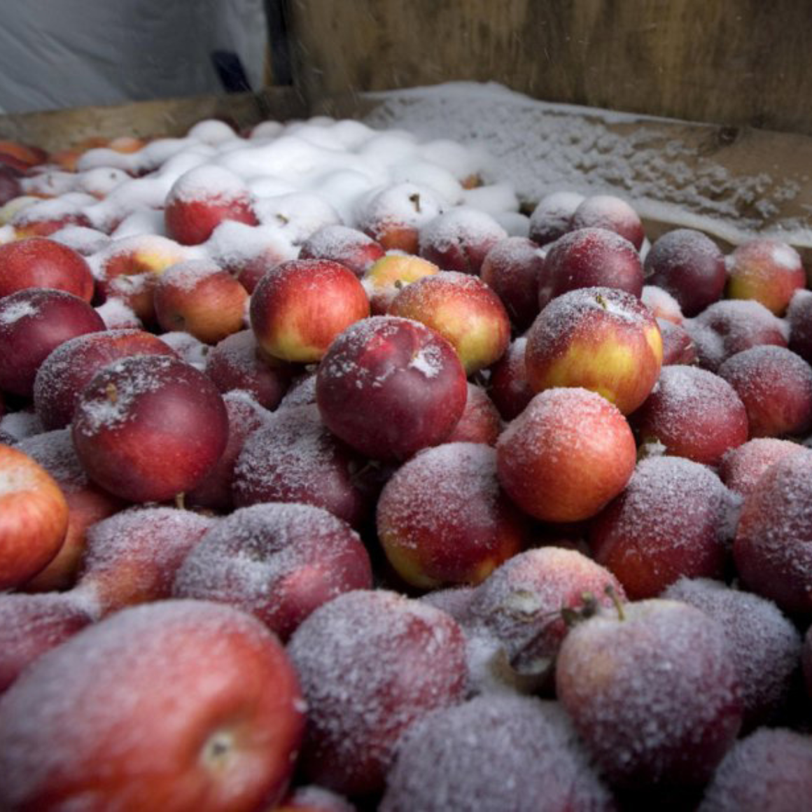 Cidre de glace