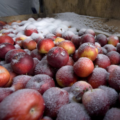 Cidre de glace